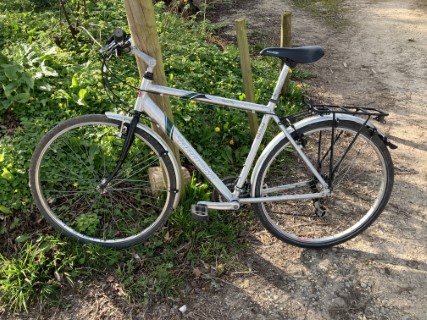 Saracen